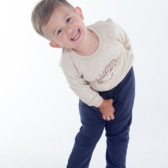 CrdalePlanet Other - BABY LITTLE BOY DINOSAUR PULLOVER